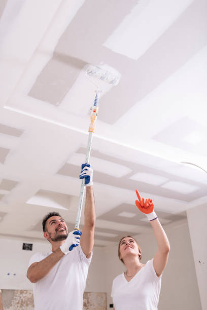 Best Water Damage & Mold Remediation  in Kingsland, GA